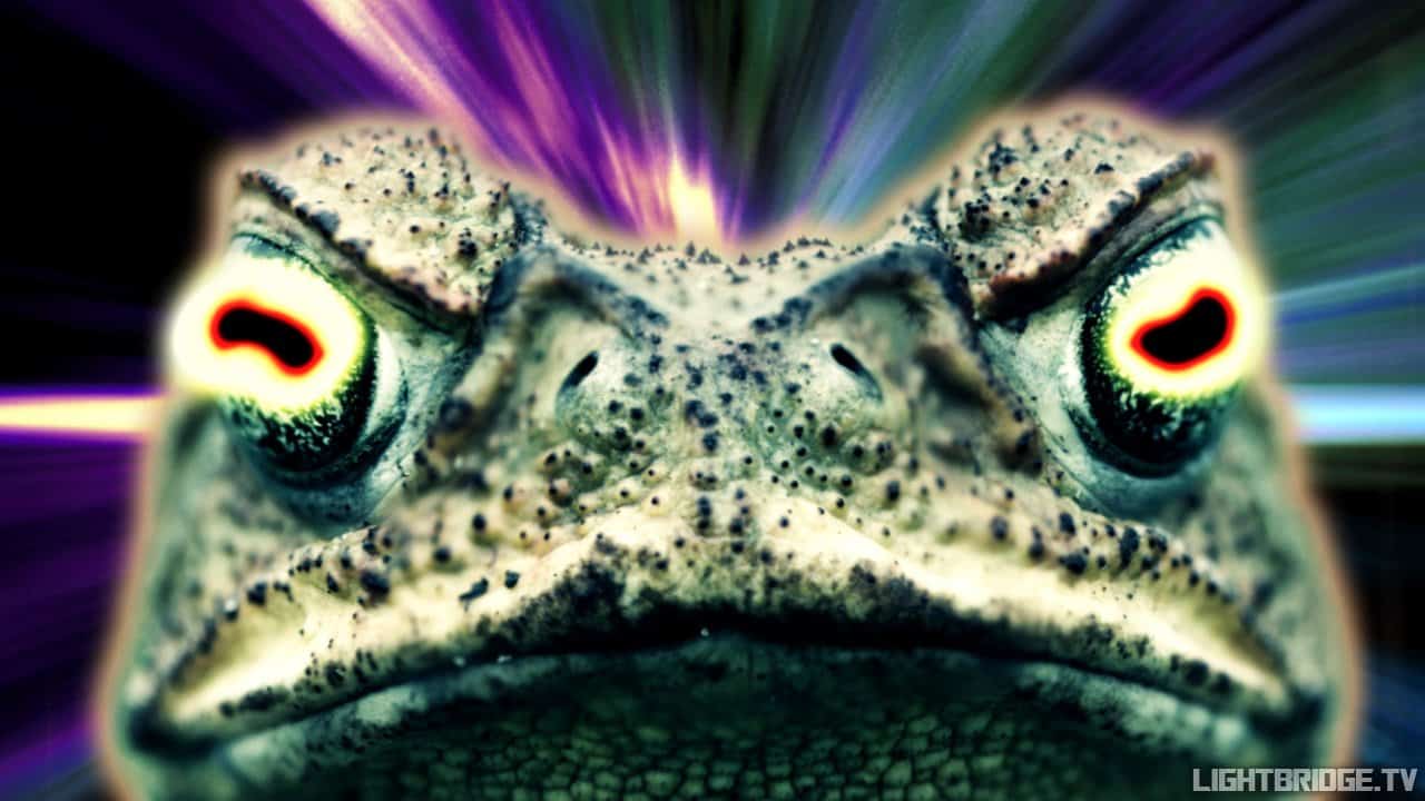 Dol Kruug - Obey The Toad
