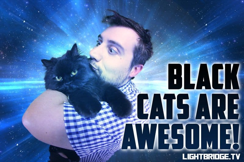 Black cats are awesome