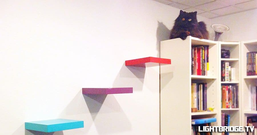 Building Cat Stairs For Batman