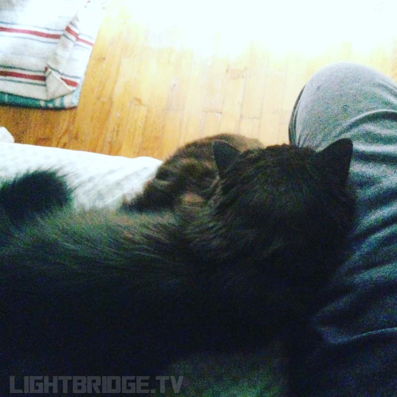 Best company to be sick in bed with…