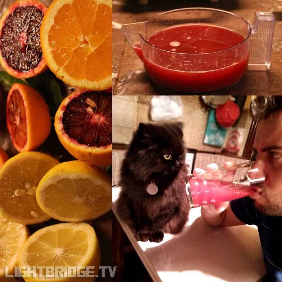 When Life Gives You Various Citrus…