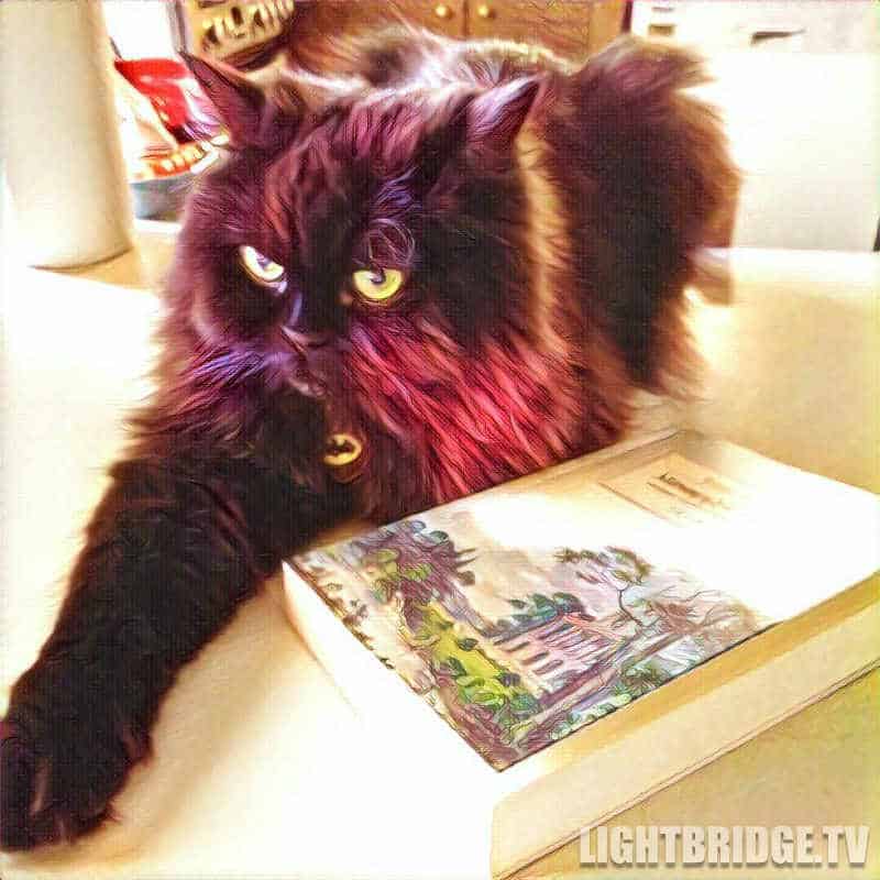 Batman and his book undergoing the Prisma treatment