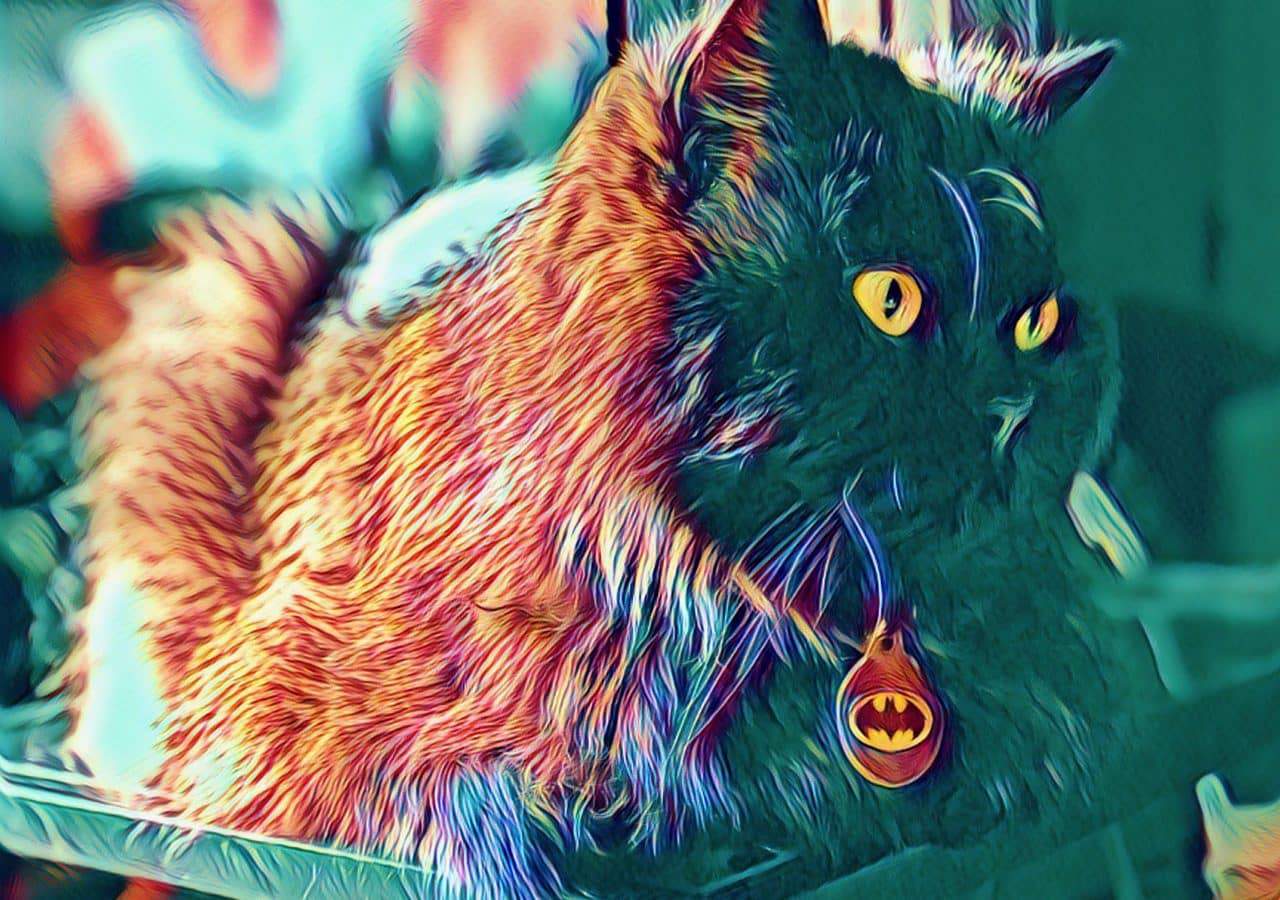 The Prince of Light and Darkness